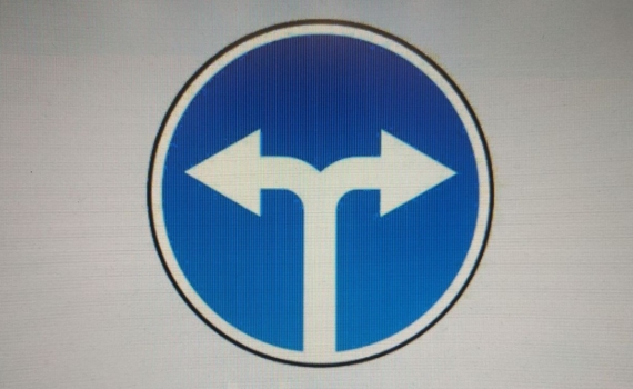 Алексей Прянишников*: раздвоение личности?