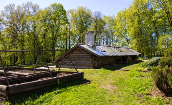 Как ускорить созревание компоста: 5 методов получения чернозема — секреты органического земледелия Как ускорить созревание компоста: 5 методов получения чернозема — секреты органического земледелия