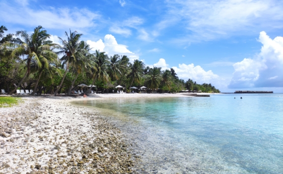 Цены на Турцию этим летом: где и когда выгоднее отдыхать — прогноз ассоциации туроператоров РФ Цены на Турцию этим летом: где и когда выгоднее отдыхать — прогноз ассоциации туроператоров РФ