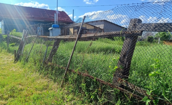 Посеяли осенью — весной земля скажет спасибо: зачем огороду гречиха Посеяли осенью — весной земля скажет спасибо: зачем огороду гречиха